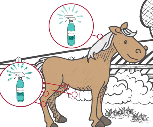 How to Apply Ecovet