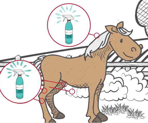 How to Apply Ecovet